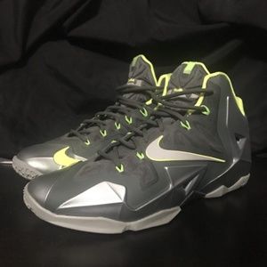 Lebron 11 Dunkman